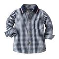 Boys 3D Plaid Shirt Blouse Long Sleeve Spring, Fall, Winter, Summer All Seasons Basic Casual Cotton Kids 3-8 Years School Cotton Casual Standard Fit
