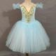 Ballet Tutu Dress Dress Rhinestone Lace Embroidery Girls' Performance Training Sleeveless High Polyester Mesh