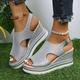 Women's Sandals Wedge Sandals Platform Sandals Plus Size Outdoor Daily Beach Solid Color Summer Wedge Heel Peep Toe Casual Minimalism Faux Leather Buckle Silver Gold
