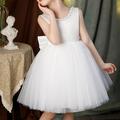 Kids Girls' Party Dress Solid Color Sleeveless Wedding Birthday Christening dress Adorable Princess Sweet Cotton Party Dress Flower Girl's Dress Spring Fall 3-10 Years White Champagne Pink