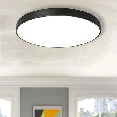 30 cm LED Ceiling Lights Dimmable Circular Design Ceiling Lamps Metal Stylish Painted Finishes Modern Minimalist Style Kids Room Bedroom Living Room Lights 110-240 V