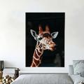 Giraffe Graffiti Wall Art Canvas Paintings on the Wall Art Posters and Prints Animals Modern Pictures For Kids Room Decor