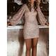 Women's Black Dress Sequin Dress Party Dress Sequins Shimmer Crew Neck Long Sleeve Mini Dress Birthday Vacation Rose Gold Black Spring Winter