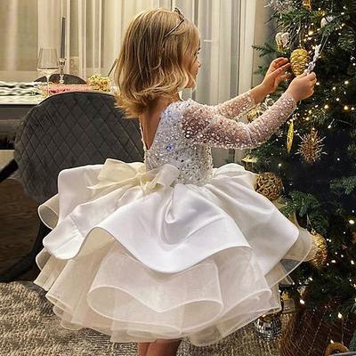 Flower Girl Dress Girls' Dress First Communion Dress Performance Princess Sweet Ruched Mesh Polka Dot Long Sleeve Crew Neck Type A Type B 3-12 Years