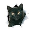 Winston Bear 3D Cat Stickers - 2 Pack - Black Cat Wall Decals - Cat Wall Stickers for Bedroom - Fridge - Toilet - Car - Retail Packaged