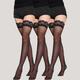 Mutipack Lace temptation stockings / ultra-thin / trim leg / long tube high thigh stockings / color / transparent / cute / sexy / knee-high female socks 3 Pcs
