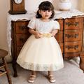 Toddler Girls' Dress Plain Short Sleeve Party Daily Sequins Bow Cute Elegant Polyester Midi Tulle Dress Summer Spring 1-4 Years Wine Red Green