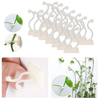 20pcs Plant Climbing Wall Fixture Clips, Vine Fixer Invisible Self-Adhesive Hook Plant Vine Traction Wall Vines Fixture Wall Sticky Hook Vines Fixing Clip Vines Holder