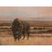 American Buffalo on the Plains I Poster Print - Ethan Harper (36 x 24)