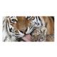 1PC Large Thick Bath Shower Towels 3D White Tiger Design Cotton Beach Towel for Women Men Travel Swimming Yoga Blanket