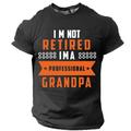 I'm Not Retired I'm A Professional Grandpa Men's Street Style 3D Print T shirt Tee Sports Outdoor Holiday T shirt Black Army Green Dark Blue Short Sleeve Crew Neck Shirt Spring Summer Clothing