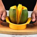 Stainless Steel Mango Slicer, Fruit Divider, Mango Knife Slicer, Fruit Corer Apple Slicer