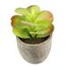 Artificial Plants Home Decoration Office Desk Decorations Faux Succulent Simulation Plants Fake Succulent Plant