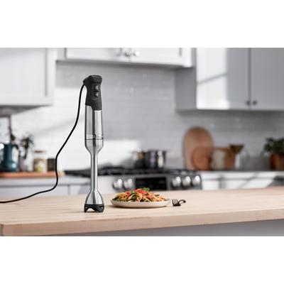 Immersion Blender, Stainless Steel, 18 inches