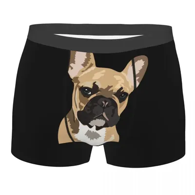 Pop Art – Boxer pour Homme sous-vêtement avec imprimé de bouledogue français caleçon doux S-XXL