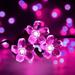 23ft 50 LED Solar Flower String Lights Outdoor Cherry Blossoms Solar Fairy Lights for Fence Garden Yard Patio Tree Decor Pink