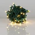 Shellbot String Light 5mm LED Warm White Lights LED String Lights; 50 Lights Green Wire 25ft (Balled Set)