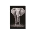 1 pc animal mur art toile girafe éléphant affiches et impressions moderne mur art photo pour salon pas de cadre