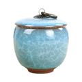 Porcelain Jar for Ashes Pet Funeral Casket Bone Ceramics Mini Containers Tea