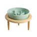 Raised Ceramic Slow Feeder Dog Bowls For Small Dogs Elevated Small Dog Slow Feeder Food Bowl Slow Feeder Dog Bowls Small Breed Dog Bowl Slow Feeder Pet Slow Feeder For Chokcing Bloating Green