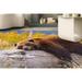 Brown Bear Resting on a Log Rugs Modern Rug Bear Rug Animal Rugs Round Rug Personalized Rug Office Rug Soft Rug Dining Room Rug 5.9 x9.2 - 180x280 cm