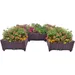 Plastic Raised Garden Bed Set Planter Grow Boxes for Indoor & Outdoor Vegetable Fruit Flower Herb Growing Box