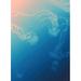 Surf Blue and Coral Poster Print - Jay Bryant Ward (24 x 36)