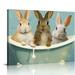 Nawypu Funny Rabbit Decor Bathroom Decor Bathtub Decor Rabbit lovers Rabbit Accessories Farm Decor Rabbit Signs Wall Art Poster Retro Poster Bar Home Bathroom Wall Decoration Sign