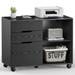 BISHE 3-Drawer File Cabinet Mobile Lateral Filing Cabinet Printer Stand with Open Storage Shelves for Bedroom Living Room Kids Room Home Office Black