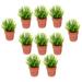 10 Pcs Ornament Models Small House Plant Mini Flower Pots Bonsai Simulation Potted Micro Landscape Artificial