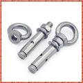 Anchor Bolts Expansion Sleeve Anchor Screw Bolts 304 Stainless Steel M6 M8 M10 M12 Lifting Ring Expansion Hook Screw(Dimensions:M12x80(2 PCS)) (Size : M6x120(10 PC (Size (Size : M6x120(10 PCS))