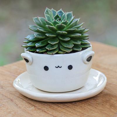 Kitty Charm,'Cat-Themed Ceramic Mini Flower Pot with Saucer in Ivory'