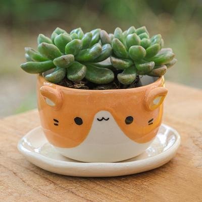 Kitty Energy,'Ceramic Cat Mini Flower Pot with Saucer in Ivory and Orange'