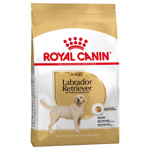 3kg Royal Canin Labrador Retriever Adult Hundefutter trocken