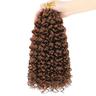 Crochet Passion Twist Hair Pretwisted 10 Inch Short Pre-looped Passion Twist Crochet Braiding Hair 8 Packs