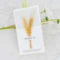 Dried Flower Card Gypsophila Greeting Card Holiday Card Birthday Card Party Invitation Card Father's Day Mother's Day Best Gift