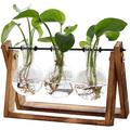 creativo struttura in legno vaso di vetro da tavolo terrario idroponica vasi di piante bonsai 3 vaso di fiori trasparente con vassoio in legno decorazioni per la casa