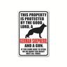 1pc avvertimento metallo latta segno divertente sarcastico attenti al cane segno di avvertimento segni di metallo per cortile, fattoria, recinzione, casa 20x30cm/8''x12''