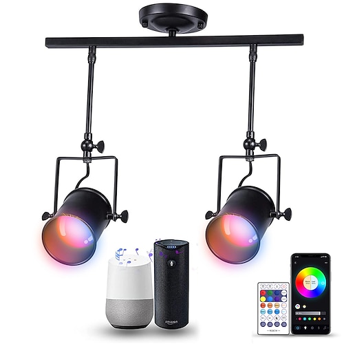 led deckenstrahler retro vintage deckenleuchten e27 downlight, 2-lichter rundes design schwarzer eisen lampenschirm, drehbar einstellbare industrielle windstrahler Image