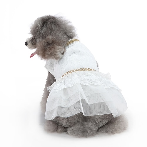 Hund Katze Kleid Niedlich Lässig Wasserdicht Atmungsaktiv Weich Waschbar Bequem Alltagstauglich Hundebekleidung for Bichon Frise Zwergspitz Baby Haustier Papillon Klein Image