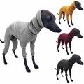 Winter-Hundemanteljacke, enger Hunde-Kapuzenpullover, Hundepullover, Pullover für Windhund, Whippet, Hundekleidung, Windhund-Rollkragenpullover, Pullover, warmes T-Shirt, Haustierkleidung (schwarz,