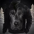 Hund Grafik-Drucke Herren Täglich 3D-Druck Sweatshirt Pullover Urlaub Ausgehen Strassenmode Sweatshirts Schwarz Khaki Langarm Ständer Bedruckt Vlies Frühling Herbst Designer Kapuzenpullover