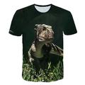 Kinder Baby Jungen T-Shirt Kurzarm Dinosaurier Fantastische Tierwesen Grafik 3D Tier Rundhalsausschnitt Druck Weiß Blau Gelb Kinder Oberteile Aktiv Cool 2-12 Jahre