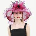 Hüte Organza Kentucky Derby Kirche Hochzeit Sonnenschutz Mit Federn / Pelzl Blumig Kopfschmuck Kopfbedeckung