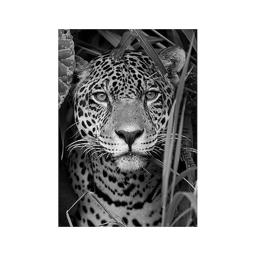 1 stück tier wandkunst leinwand giraffe elefant poster und drucke moderne wandkunst bild für wohnzimmer kein rahmen Image