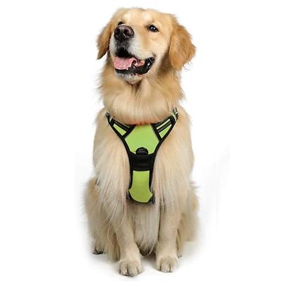Hunde Pelzige Kleintiere Geschirre Tragbar Langlebig Sicherheit Outdoor Gehen Farbblock 1 Stück
