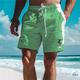 Surf Herren Resort 3D-bedruckte Boardshorts Badehose elastische Taille Kordelzug mit Mesh-Futter Aloha Hawaii-Stil Urlaub Strand S bis 3XL