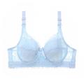 Damen-BHs Bralettes Spitzen-BHs gepolsterte BHs Bügel-BH abnehmbare Träger 3/4-Körbchen Spitze einfarbig mikro-elastisch atmungsaktiv Push-Up Datum Valentinstag Freizeit Alltag Hellblau