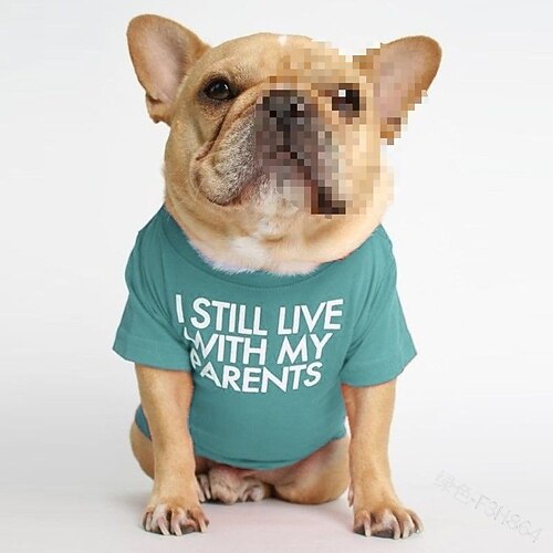 Hund Katze Hemd / T-Shirt Mode Niedlich Wasserdicht Atmungsaktiv Weich Waschbar Bequem Outdoor Alltagstauglich Hundebekleidung for Bichon Frise Zwergspitz Baby Haustier Papillon Klein Image