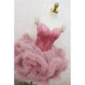 Damen Prinzessin Ballerina-Tänzerin Aufführung Tanzen Kleid Gestuftes Tutu Abendkleid Kuschelig Party Tüll Feder Grau Schwarz Weiß Rosa Kleid